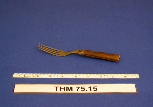 Fork