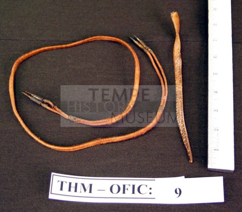 Wires, (2) with plugs on each end (to dental equiptment)