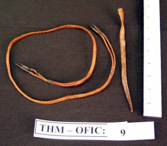 Wires, (2) with plugs on each end (to dental equiptment)