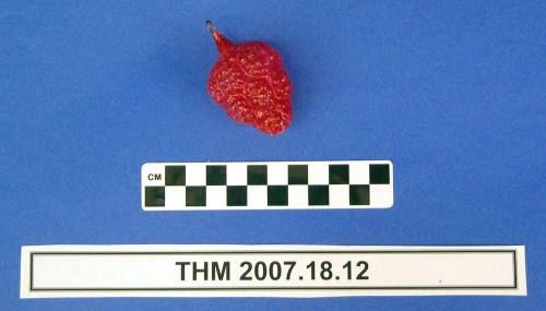 Red Strawberry Christmas Ornament
