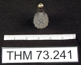 Glass Salt Shaker