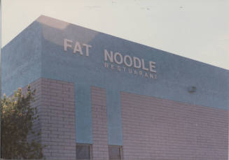 Fat Noodle Restaurant - 525 South McClintock Drive - Tempe, Arizona