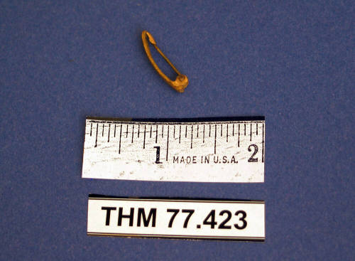 Pin