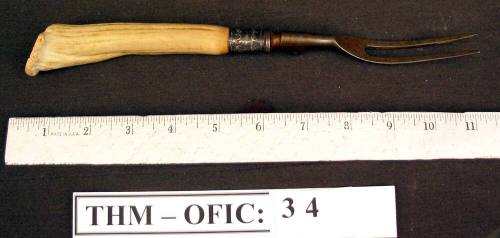 Fork, 2 pronged deer antler