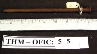 Nail, large