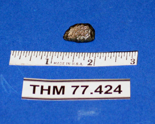 Souvenir Pin