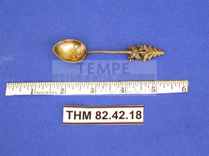 Souvenir Spoon