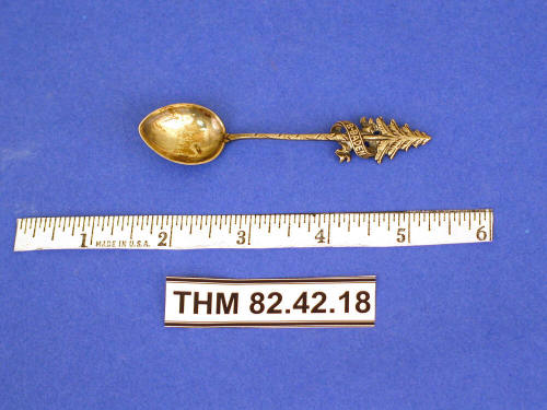 Souvenir Spoon