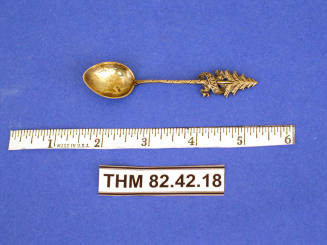 Souvenir Spoon