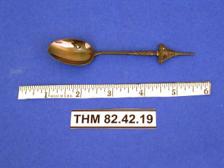 Souvenir Spoon