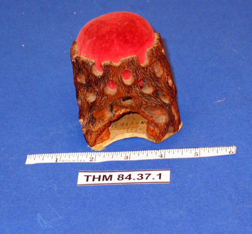 Pincushion