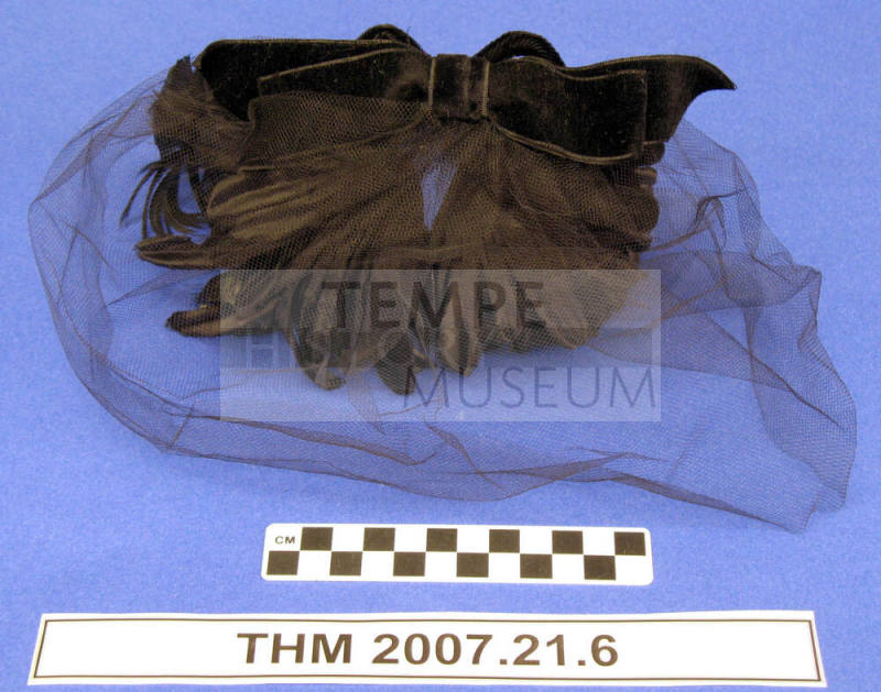 Black velvet flowers and feathers hat.