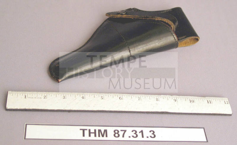 Gun Holster