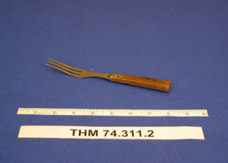 Cooking Fork