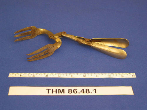 Salad Tongs