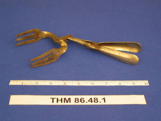 Salad Tongs