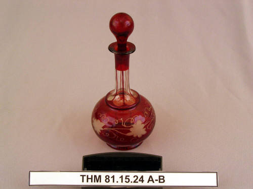 Toilet Bottle