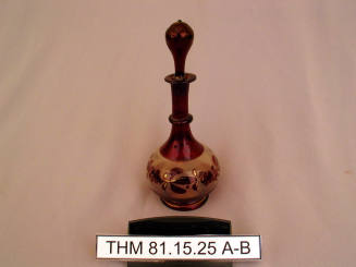 Toilet Bottle