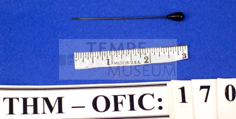 Pin, belt