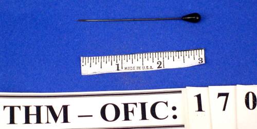 Pin, belt