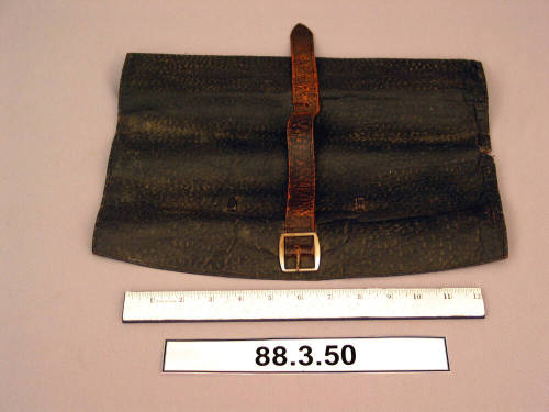 Case