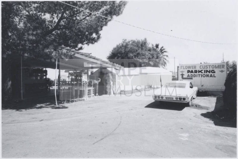 Watson's Flower Shop - 2425 East Apache Boulevard, Tempe, Arizona
