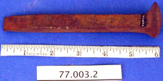 Railroad Spike