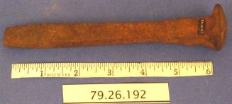 Railroad Spike
