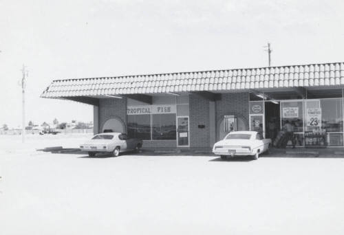 Wiltse Tropical Fish Store - 224 East Baseline Road, Tempe, Arizona