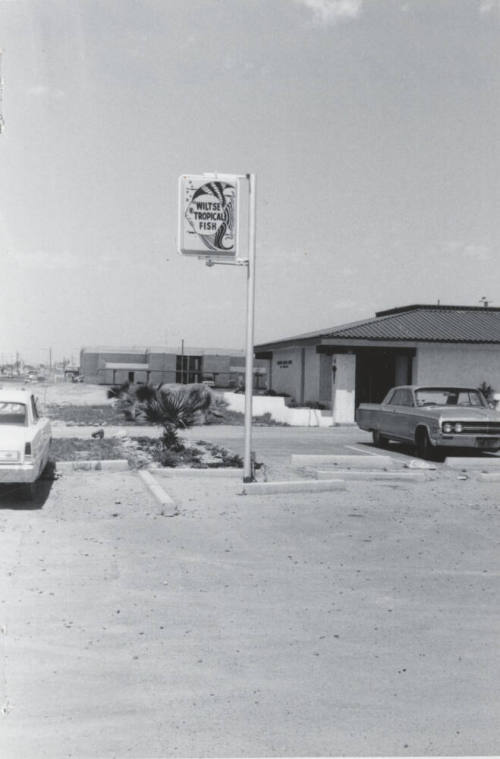 Wiltse Tropical Fish Store - 224 East Baseline Road, Tempe, Arizona