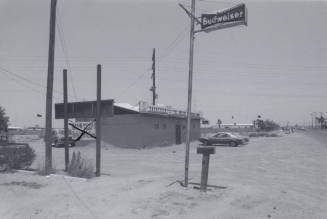 The Antlers Tavern - 600 West Baseline Road, Tempe, Arizona