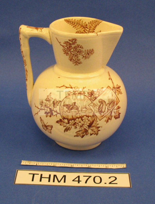 Water Pitcher