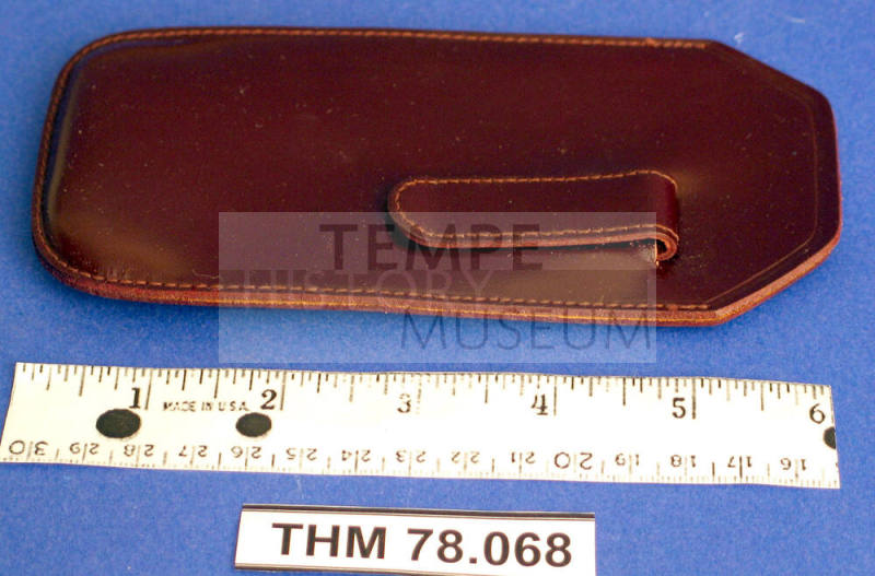 Case, Eyeglasses