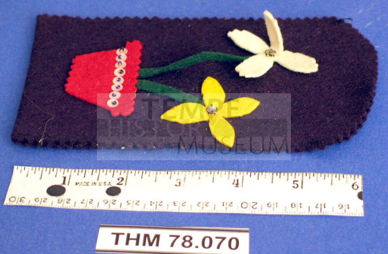 Case, Eyeglasses