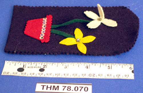 Case, Eyeglasses