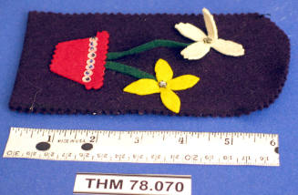 Case, Eyeglasses