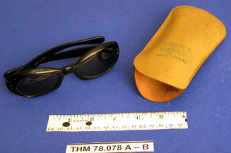 Sunglasses and case