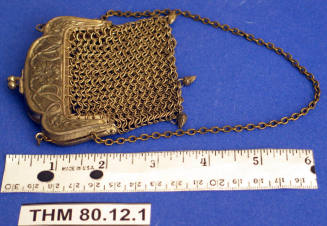 Mesh Purse