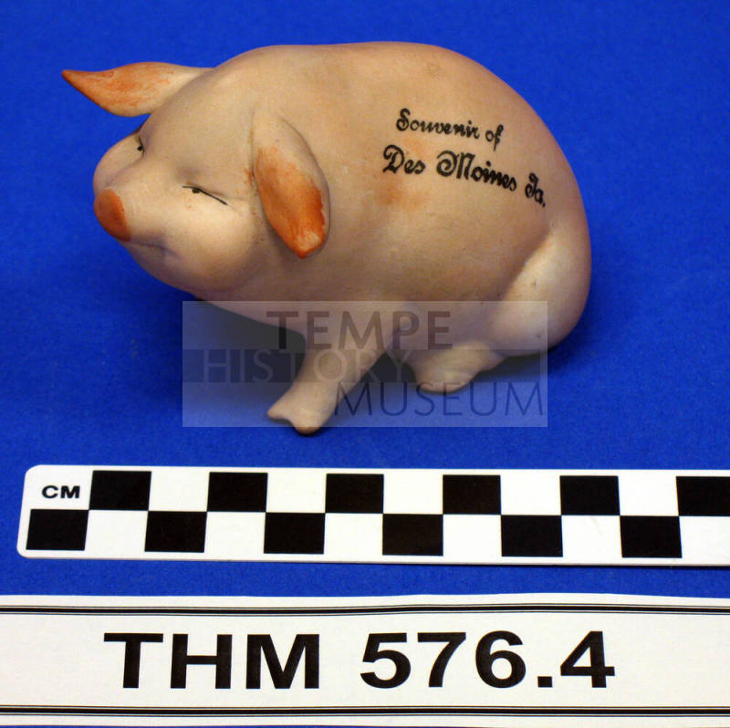 Souvenir Pottery Pig