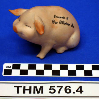 Souvenir Pottery Pig