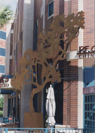 P.F. Chang's China Bistro - 740 South Mill Avenue - Tempe, Arizona