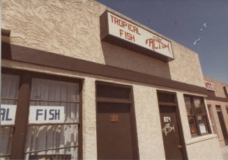 Fish Factory - 824 South Mill Avenue - Tempe, Arizona