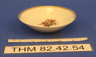 Fruit Bowl