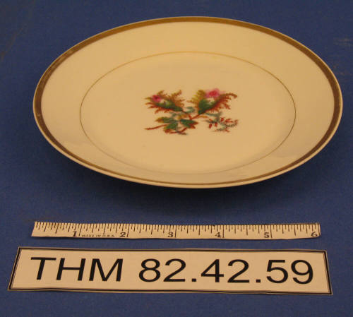 Salad Plate