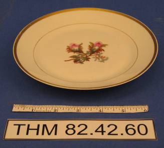 Salad Plate