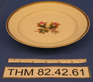 Salad Plate