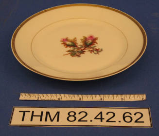 Salad Plate