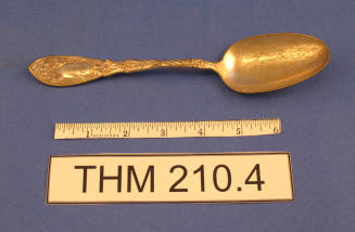 Serving Spoon