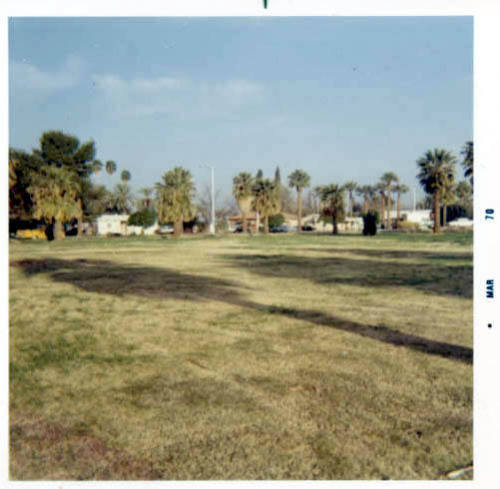 Photograph: Birchett Park, start of flower beds, by Luis Chacon