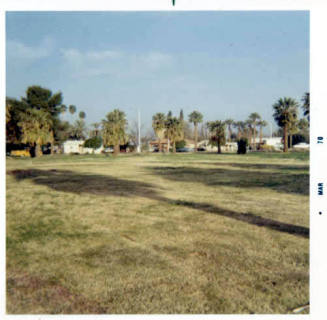 Photograph: Birchett Park, start of flower beds, by Luis Chacon
